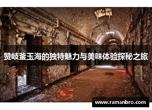 赞岐釜玉海的独特魅力与美味体验探秘之旅